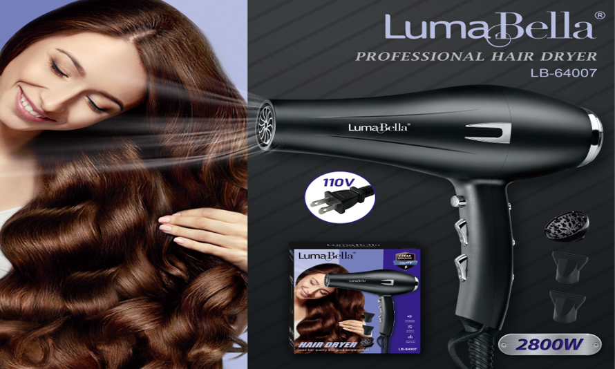 Professional Hair Dryer