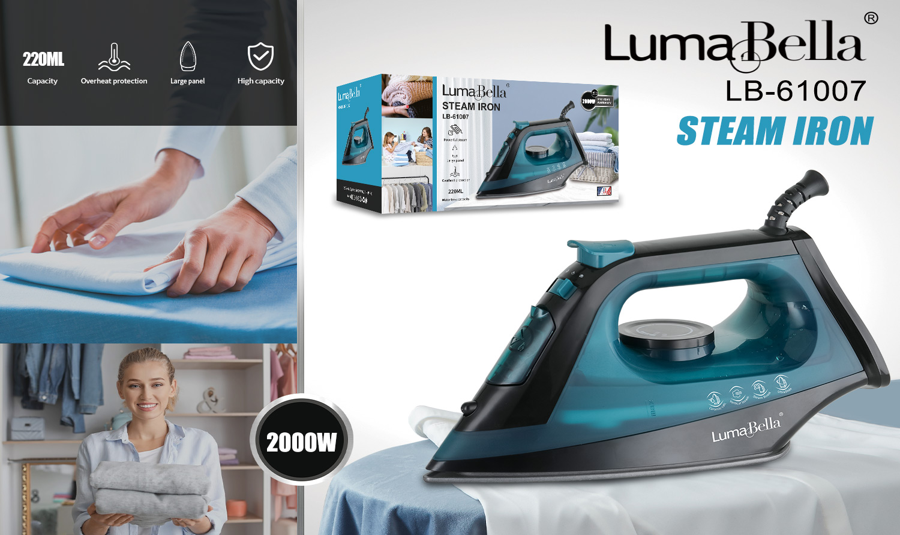 Steam Iron